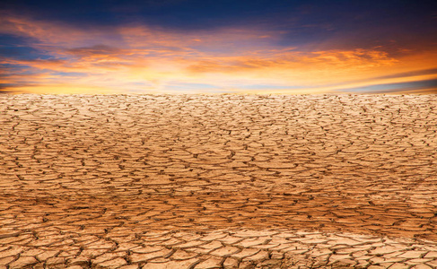 变暖 纹理 荒地 环境 土地 沙漠 特写镜头 污垢 地质学