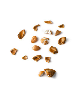 果壳素材图片_果壳图片素材下载_摄图新视界