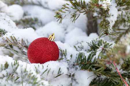 明亮的球在一个干净的纯雪地上的树枝上