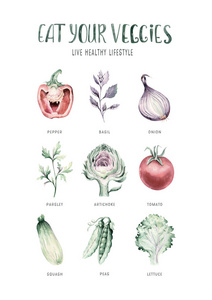 蔬菜健康绿色有机套装手绘水彩画食谱含朝鲜蓟，花椰菜，菠菜，芹菜维生素。卷心菜，韭菜和洋葱插图。生菜和萝卜。壁球素描