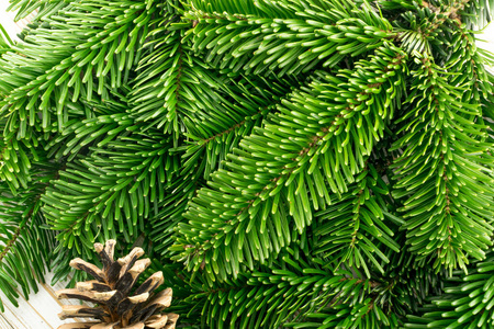 天然绿云杉嫩枝背景或纹理照片
