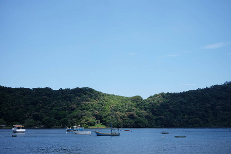 在一个阳光明媚的日子里，巴西贝蒂奥加附近的一条小河上，站着一条斗殴的小船，山峦葱茏，野性盎然