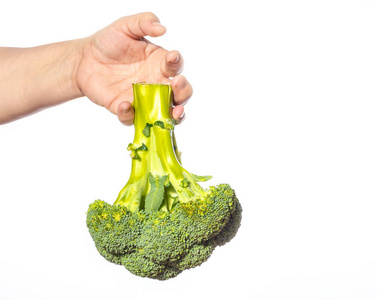 Hand holding broccoli on a white background. 