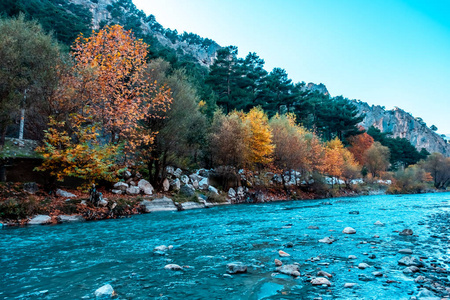 自然 公园 颜色 季节 秋天 风景 火鸡 天空 森林 铁路