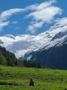 草场云天的山景