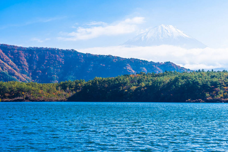 富士山风景秀丽，周围有枫叶树