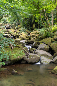 格伦林峡谷