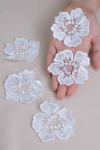 象牙色蕾丝花的背景图像.米黄色背景上的白色花朵.照片