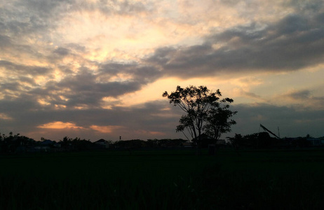 日出 夏天 日落 风景 自然 傍晚 黄昏 太阳 天空 轮廓