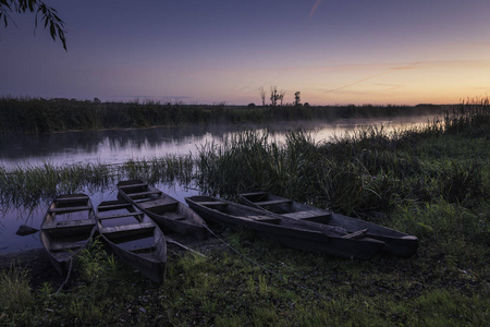 Wooden boats on Biebrza on a foggy morning, Goniadz, Podlaskie, 