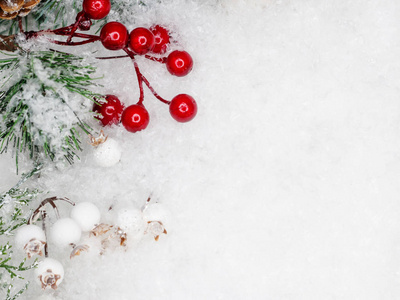 以冬季为主题的静物画，美丽的圆锥体棉花和树枝点缀着雪花的绿色圣诞树