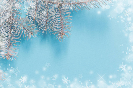 Christmas fir branches on blue paper background 