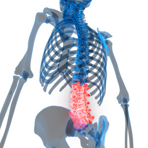 损伤 肌肉 胫骨 骨骼 运动 健康 肩胛骨 解剖学 炎症