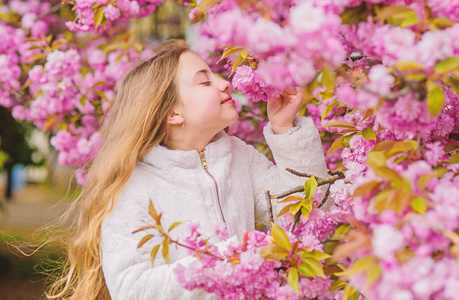 孩子们喜欢温暖的春天。喜欢花香的女孩。樱花树背景的粉红色花朵上的孩子。植物学概念。喜欢樱花樱花的孩子。花朵像柔和的粉红色云。闻花