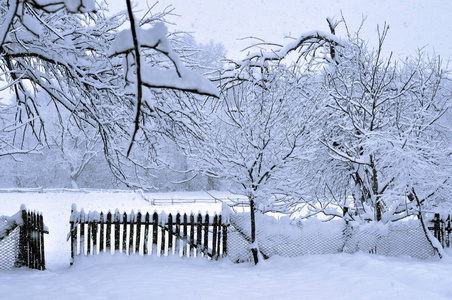 栅栏 傍晚 季节 分支 寒冷的 天气 自然 降雪 回力 村庄