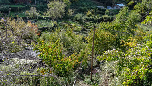 科西嘉岛是地中海中一个美丽的法国岛屿