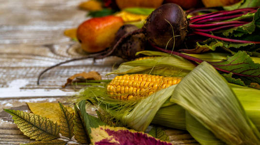 花园 秋天 农业 晚餐 市场 混合 营养 分类 夏天 素食主义者