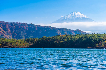 富士山风景秀丽，周围有枫叶树