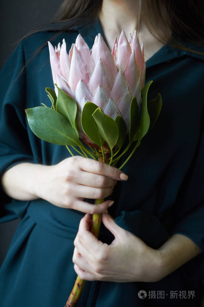 特写女性手拿着粉红色的变形花在黑暗的背景上,选择性聚焦照片-正版