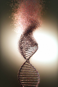 DNA氧化损伤遗传病分子结构