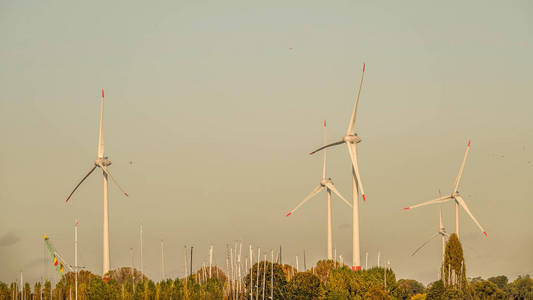 能量 螺旋桨 风电场 风车 权力 创新 生产 风力涡轮机