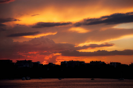 帕拉马塔河上风景如画的夕阳和建筑轮廓。澳大利亚悉尼