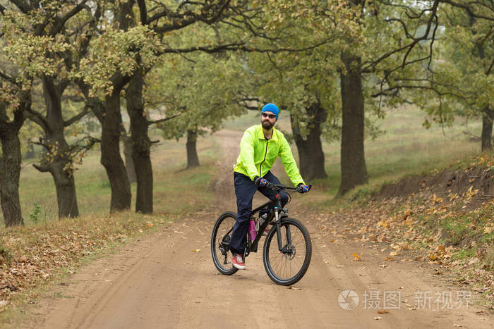 森林 经久不衰 公园 风景 摩托车手 乐趣 旅行 小山 娱乐