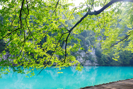 克罗地亚普利特维兹国家公园夏日午后蓝湖美景照片