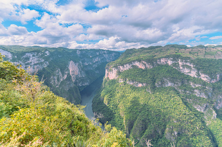 全景图 森林 美丽的 自然 岩石 夏天 山谷 公园 峡谷