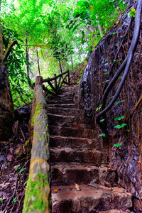 越南丛林中的旧楼梯