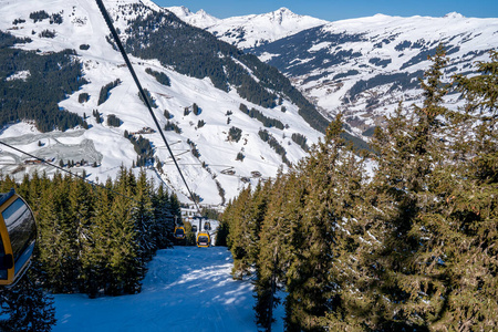 斜坡 天空 小山 寒冷的 假期 徒步旅行 滑雪 自然 森林