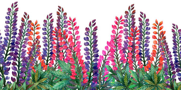 水彩羽扇豆.缤纷夏日横框照片