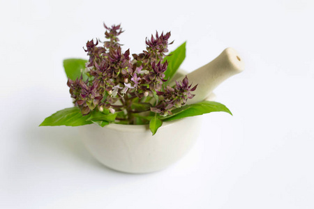 Sweet basil with purple flowers in porcelain mortar on white 