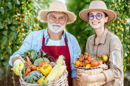 爷爷和年轻的女人在收获蔬菜