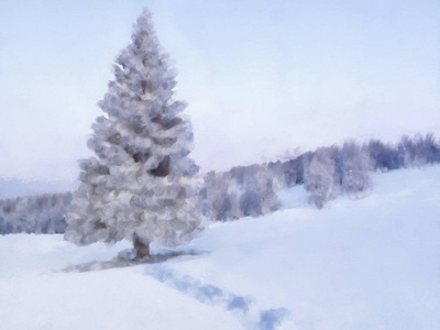 滑雪 森林 自然 天空 松木 美丽的 冬天 冷杉 季节 圣诞节