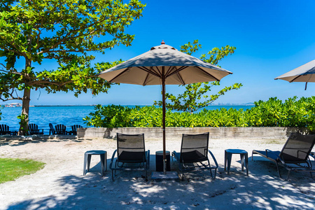 蓝天沙滩上的伞和椅子