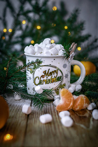 假日 冬天 新的 棉花糖 礼物 桌子 玻璃 季节 圣诞节