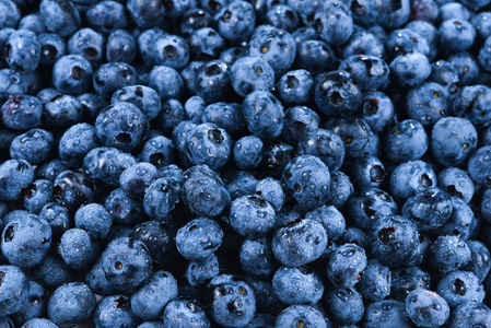 新鲜蓝莓背景。纹理蓝莓浆果特写。