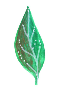 装饰绿水粉叶