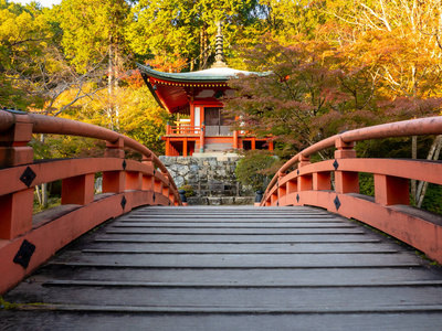 日本秋天。京都大寺。