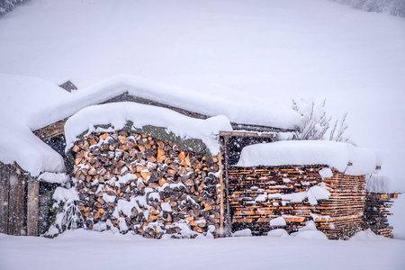 在奥地利斯图拜山谷的纽斯蒂夫特市的冬季景观。在降雪和森林的背景下用木柴搭建的棚子