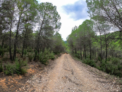 在西班牙尼尔皮奥的公路上开着非常慢的山路