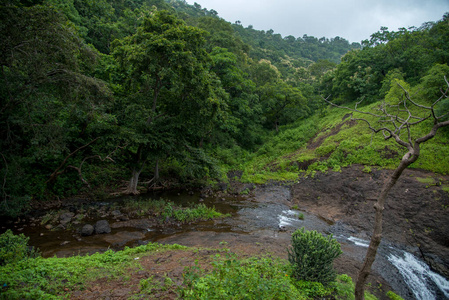 山林水景