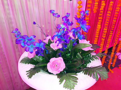 花的 玫瑰 紫色 花瓣 自然 美丽的 花束 植物 郁金香