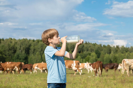 白人男孩8岁喝牛奶从一个大玻璃瓶.插画