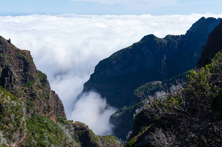 山景