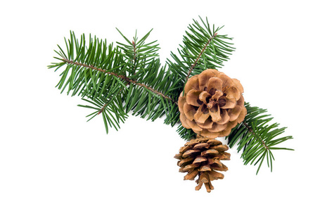 pine cone decoration on white 