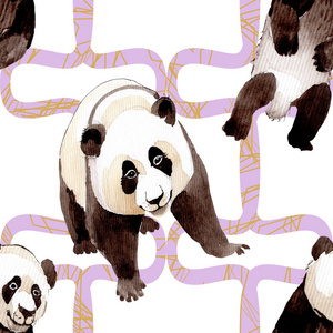 异国大熊猫野生动物隔离。水彩背景插图集。无缝背景图案。