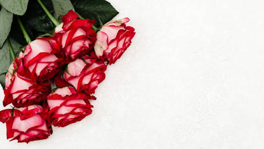 玫瑰 花瓣 消息 花的 粉红色 自然 浪漫的 空的 美丽的
