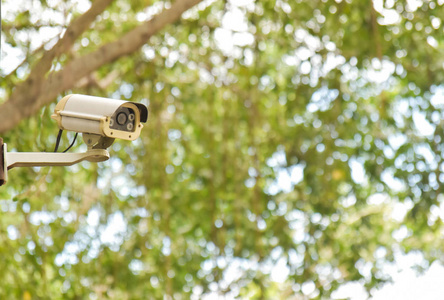 警卫 公园 班长 照相机 记录 安全 摄像机 控制 行业